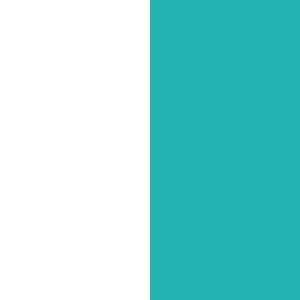 CYAN-WHITE
